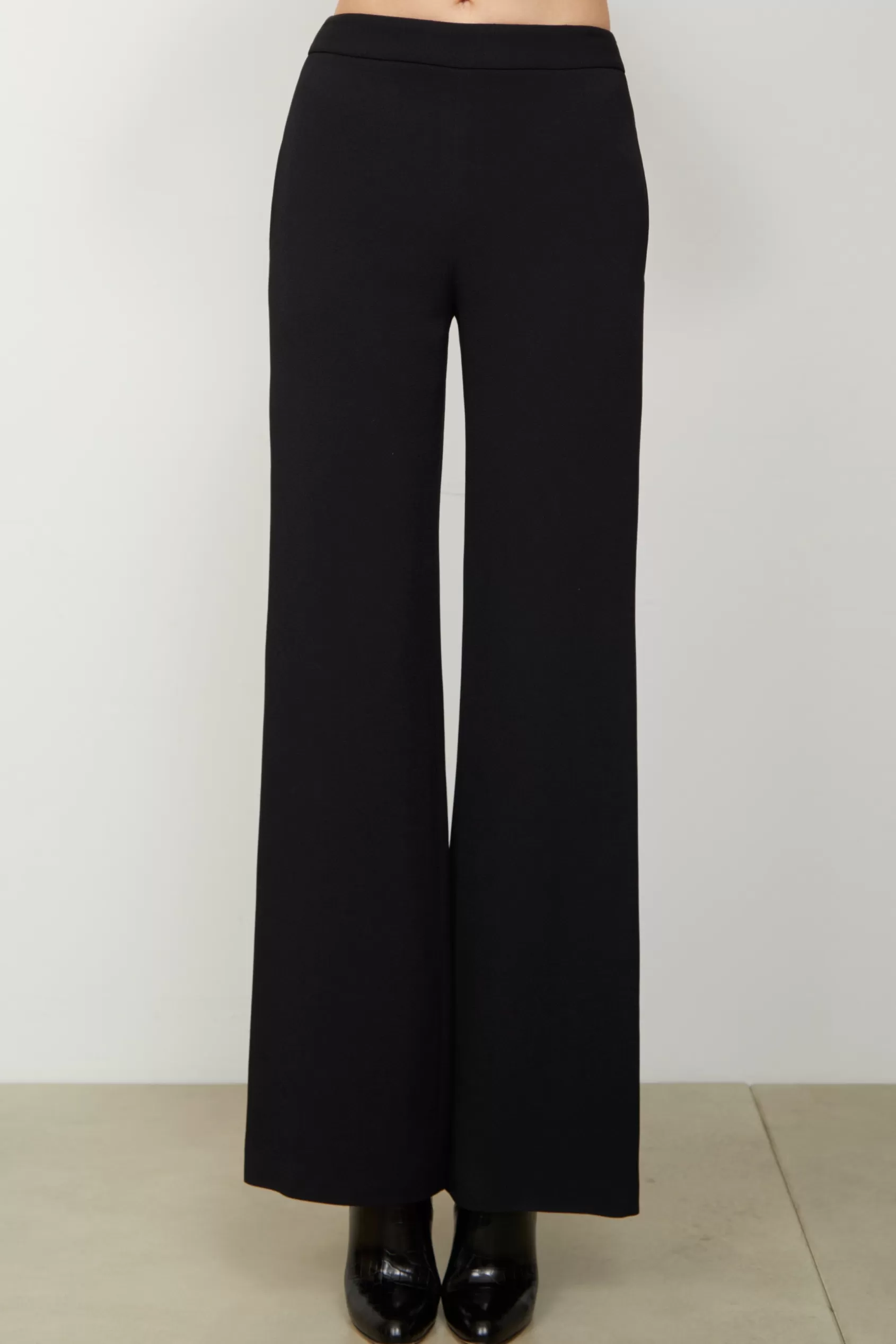 Bottoms<Brandon Maxwell The High Waisted Wide Leg Trouser In Black