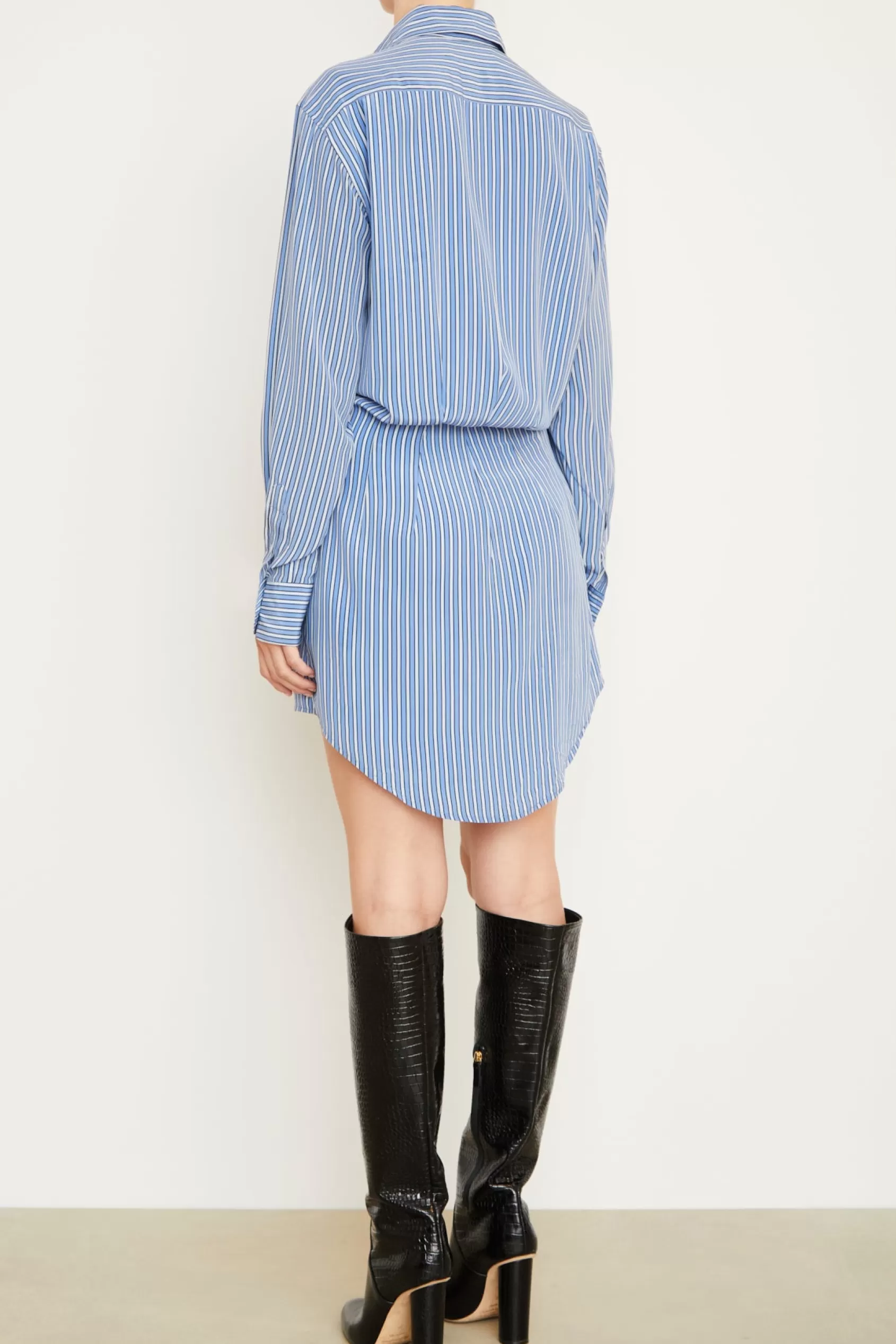 Dresses<Brandon Maxwell The Vera Shirtdress In Blue Stripe